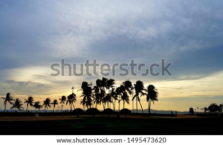 Landscape of beach with palm trees silhouettes at evening times.