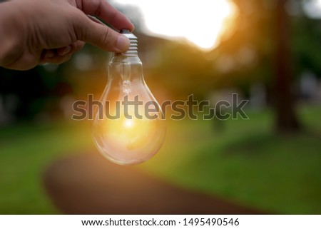 Light bulbs that grow in the concept of energy in nature.