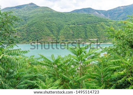 Jungle landscape with lake in the mountains of Asia. Tropical nature concept