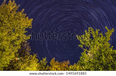 star trail and trees in holiday summer