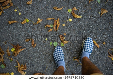 autumn concept picture of top view on boy feet in sneakers  and gray socks stay on a asphalt road background textures surface with falling leaves 