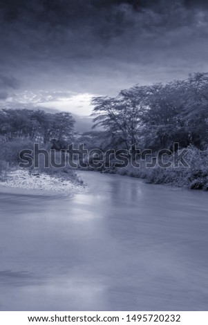 Sunrise view of Ishasha river, with trees growing and the reflections on the water, Queen Elizabeth National Park, Ishasha, Uganda, Africa