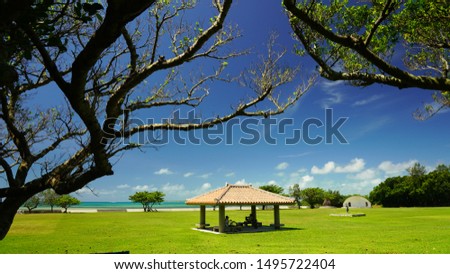
Paradise view of an Asian gazebo,alcove against the background of the ocean. Idyllic vibrant Japanese park with gazebo. green lawn and tropical trees in Okinawa park in Ishigaki city, sunny day Japan