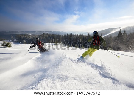 Back view of proficient male skiers in snow powder. Backcountry skiing. Using carving technique on wide open wooded hillside. Panoramic view of picturesque winter mountains and forest under blue sky. Royalty-Free Stock Photo #1495749572