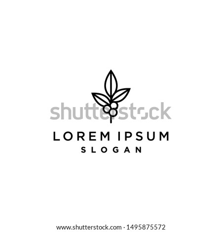 coffee bean plant branch hipster minimal logo vector with leaf simple line outline icon for cafe 