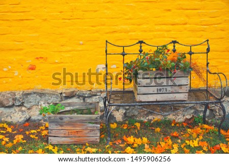 Yellow brick house on autumn day with fall leaves on the ground. Iron metal bench furniture and wooden box garden flowers - vintage autumn season decoration. October foliage, rustic exterior decor