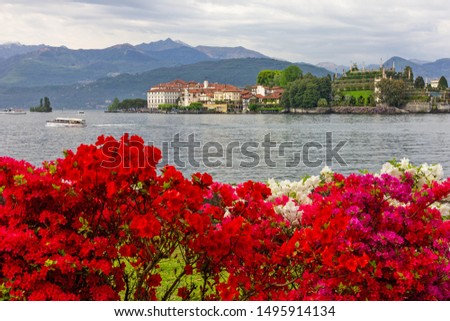 Isola bella island lake view with flowers, Lombardy, Italy