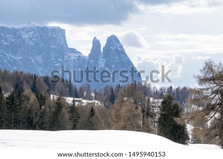 Panoramic view on the Dolomites here on the Alpe di Siusi, Europe's largest high alpine pasture. Trentino-Alto Adige South tirol Italy