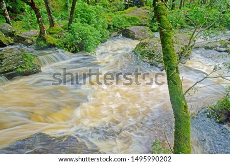 Looking downstream along the Glen of the Arklet Burn as it flows into Loch Lomond, The Trossachs, Stirlingshire, Scotland