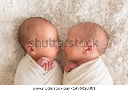  twins. newborn boys twins. newborn photo shoot Royalty-Free Stock Photo #1496020001