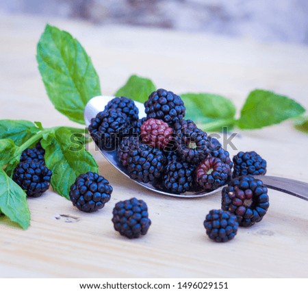 BLACKBERRIES ON METAL SPOON AND AROMATIC LEAVES ON WOODEN TABLE. RUSTIC FOOD PHOTOGRAPHY