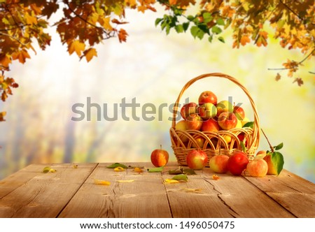 Fresh  apples in basket on wooden table.Autumn garden.
Falling leaves natural background.