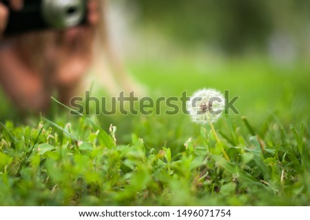 camera with focus on white dandelion in green grass