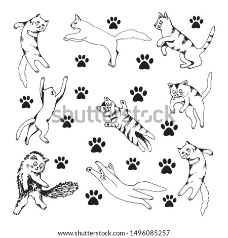Cute hand drawn set of cats in jumping motion on white background. Vector adorable animals in trendy Scandinavian style. Funny, hygge illustration for poster, banner, print, decoration kids playroom.