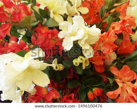  Lot of artificial flowers in colorful composition close-up. Bright multi-colored floral background. Decorating holiday concept. Selective focus image. Artificial plants. Copy space.