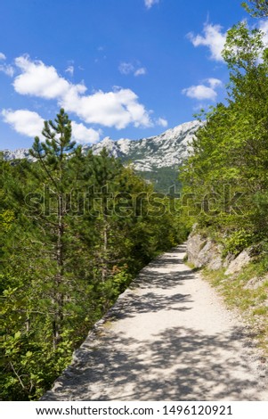 Beautiful sunny summer day in Paklenica National Park Croatia, Wonderful nature and landscape in Velebit Mountains. Calm, peaceful and happy outdoors picture.
