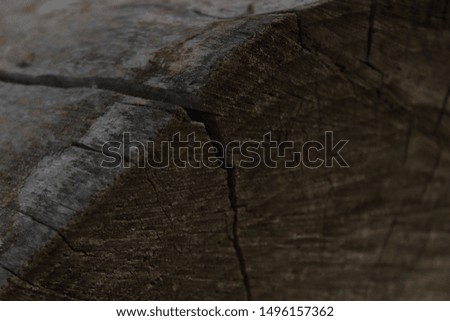 old wooden block in the evening