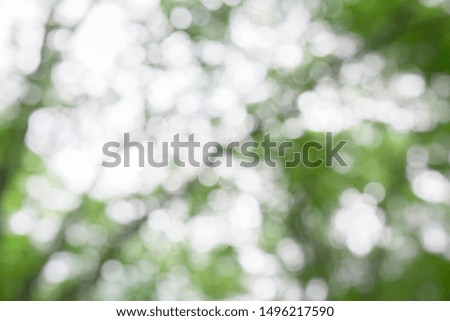 blured photo Natural green trees leaves With With sunlight bokeh
