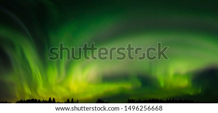 Aurora, Northern light in Elk Island National Park in Canada