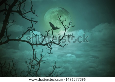 Halloween concept: Spooky forest with full moon and dead trees, dark horror background.