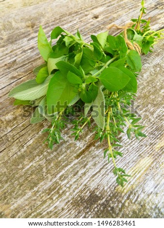 Bunch of fresh green organic herb leaves tied with thread on old wooden background. Thyme, Sage, Oregano, Basil and Mint closeup. Aromatic culinary herbs. Bundle of freshly picked provence herbs.