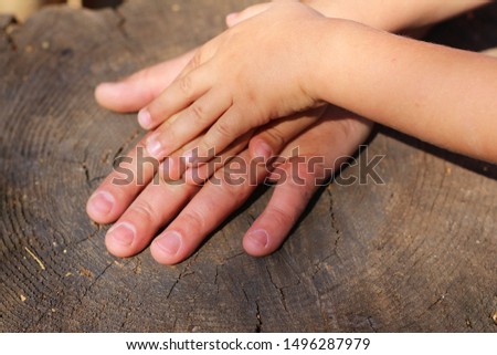 Fathers and small child arms. Conception of friendly family. Father and  child holding hands