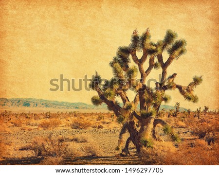 Landscape of the desert with Big Joshua Tree,  Mojave Desert,  California, United States. Photo in retro style. Added paper texture. Toned image.