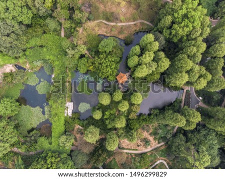 Wuhan Botanical Garden summer charming aerial scenery