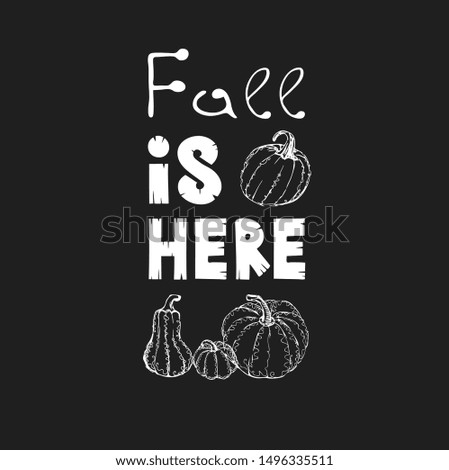 Hand drawn text Fall is Here and hand drawn pumpkins isolated on black background, autumn halloween background, vector icon 