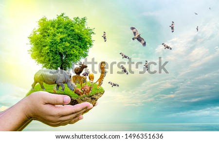 Wildlife Conservation Day Wild animals to the home. Or wildlife protection Royalty-Free Stock Photo #1496351636