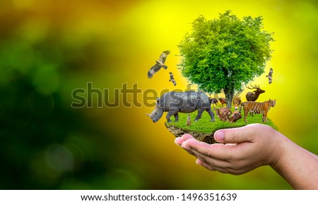 Wildlife Conservation Day Wild animals to the home. Or wildlife protection Royalty-Free Stock Photo #1496351639