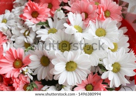 a bouquet of beautiful flowers and an envelope. white and pink daisies
