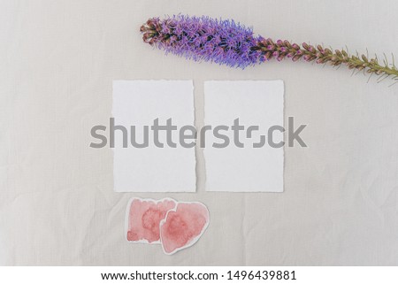 Minimalistic wedding composition with  cards mock up, flowers on white background. Flat lay, top view stylish art concept.