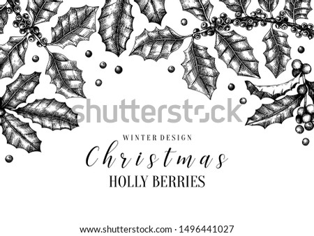 Christmas holly vector design. Greeting card or invitation template. Evergreen tree with berries illustration. Hand drawn. For Christmas banner, decoration or packaging. Vintage background.