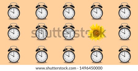 Creativity or different concept with sunflower and black clock alarm
