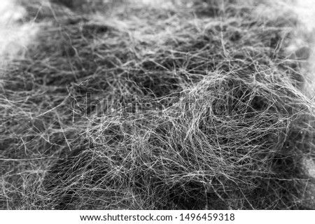 Macro Image of Black and White Cat Hair Collected After Grooming Session. Royalty-Free Stock Photo #1496459318