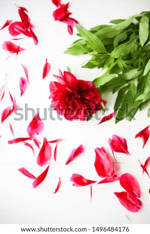Beautiful flowers on white background. Peonies bouquet. Perfect flat lay with petals. Happy mothers holiday postcard. International women's day greeting. Birthday idea for advert or promotion.