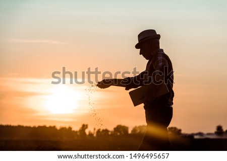 profile of senior farmer in straw hat sowing seeds during sunset  Royalty-Free Stock Photo #1496495657