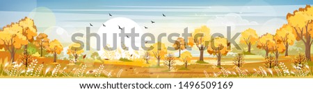 Panorama of Countryside landscape in autumn, Vector illustration of horizontal banner of Autumn landscape, barn, mountains and maple leaves falling from the trees in yellow foliage. Fall seasons 