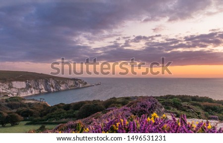 Beautiful heather and gorse in flower in the foreground with the Solent and Needles in the background
