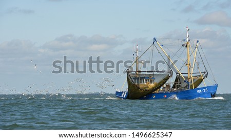 Fish trawler at work with seagulls flying behind on Waddenzee Royalty-Free Stock Photo #1496625347