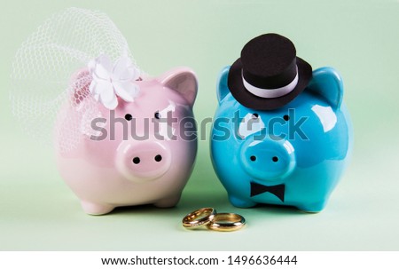 Marriage concept two cute pigs