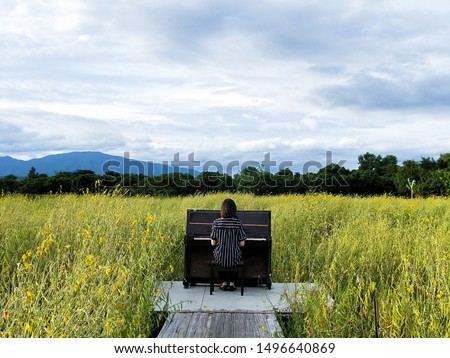 Piano in Yellow Sunn hemp field Crotalaria juncea
