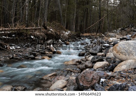 A fast mountain river flows through the forest among large rocks and boulders. The Location Of Terskol, Elbrus district, Kabardino-Balkaria, Russia