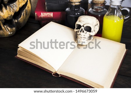 Skull on opened empty book