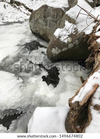 Stones and driftwood along a frozen stream in Pennsylvania.