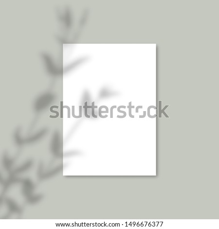 Shadow Overlay Plant Vector Mockup A4 Paper sheets. Shadows overlay effects Of A leaf on blue background in a modern minimalist style. For presentation Flyer, Poster, blank, logo, invitation Royalty-Free Stock Photo #1496676377
