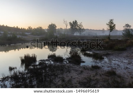 Brunsummerheide (translation Brunssumer meadows) a national park in South Limburg in the Netherlands with morning fog over the swamp durng sunrise