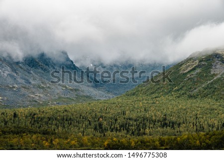 Beautiful view of the Khibiny Mountains in the fog in summer