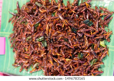 colseup edible insect fry with herbs